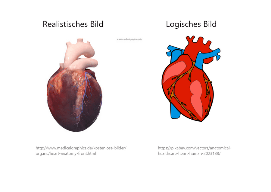Darstellung eines logischen und realistischen Bildes am Beispiel des Herzens